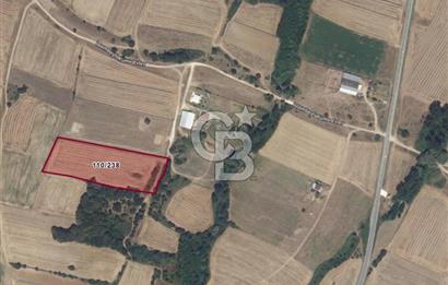 Kırklareli, Pınarhisar, İslambeyli'de Yatırım Fırsatı. Satılık 12.901m² Tarla