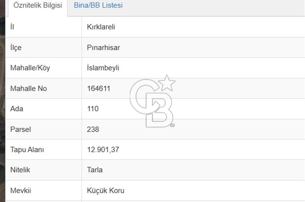 Kırklareli, Pınarhisar, İslambeyli'de Yatırım Fırsatı. Satılık 12.901m² Tarla