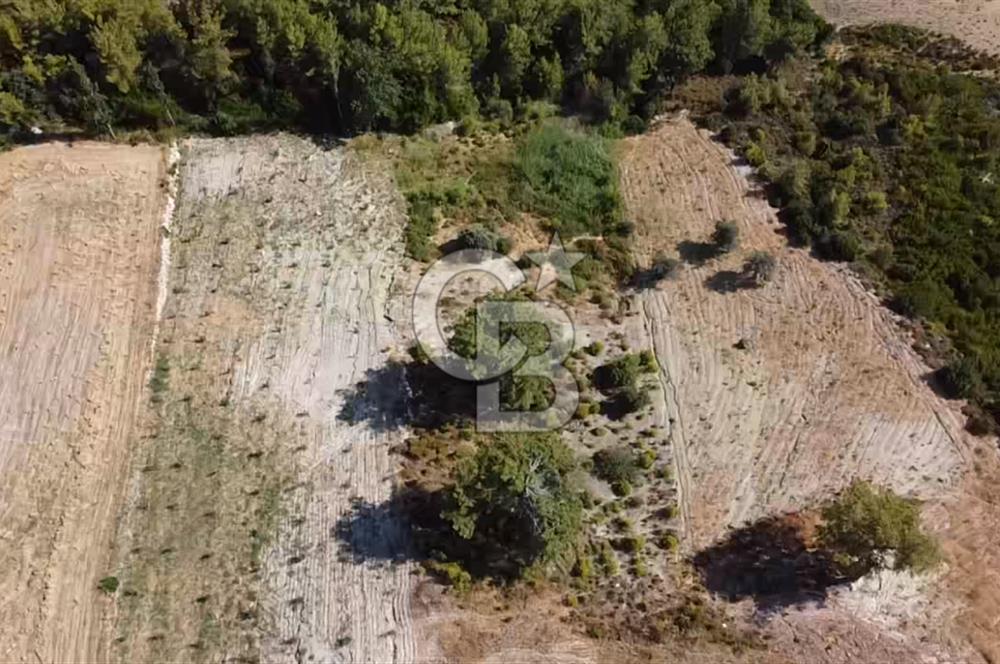 CB GİZ'DEN SEYDİKEMER YAKA'DAN SATILIK ARAZİ