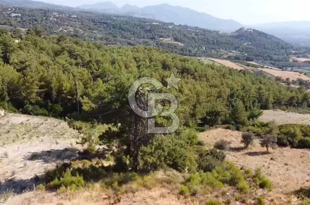CB GİZ'DEN SEYDİKEMER YAKA'DAN SATILIK ARAZİ
