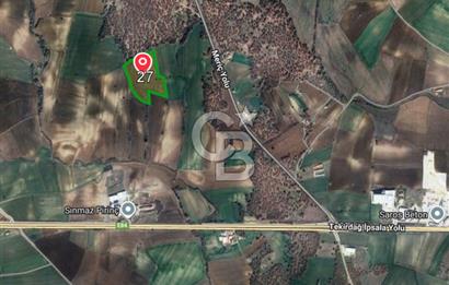 Edirne, Keşan, İstasyon Mahallesinde. Satılık Tarla 30 Dönüm.