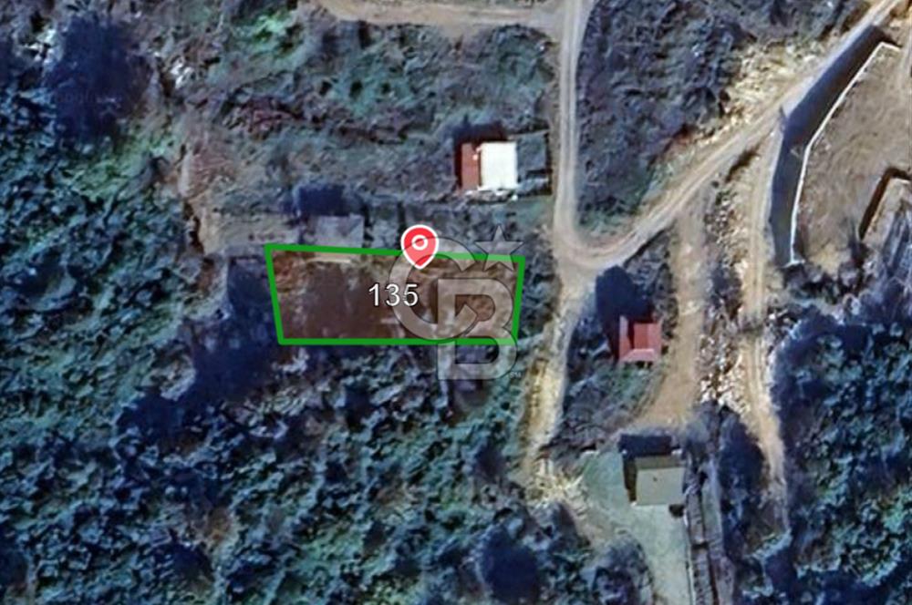 Şile Kabakoz'da İdeal Yatırım fırsatı. 666 m2 Satılık Tarla.