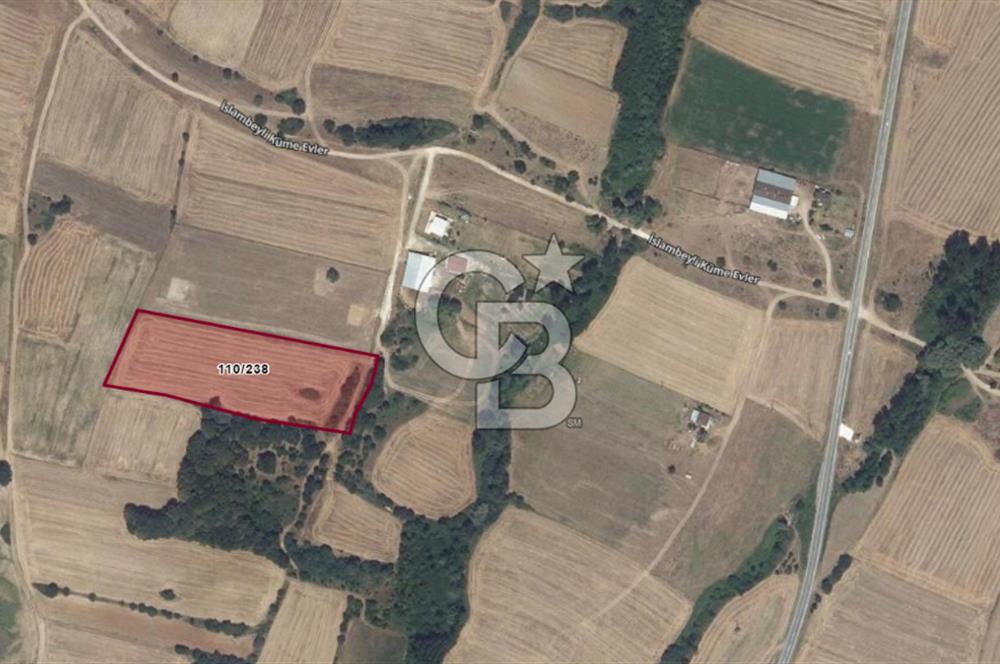 Kırklareli, Pınarhisar, İslambeyli'de Yatırım Fırsatı. Satılık 12.901m² Tarla