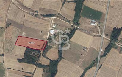 Kırklareli, Pınarhisar, İslambeyli'de Yatırım Fırsatı. Satılık 12.901m² Tarla