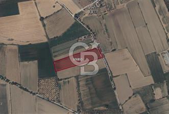 TİRE MERKEZE YAKIN 12000 m2 TARLA