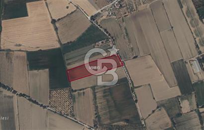 TİRE MERKEZE YAKIN 12000 m2 TARLA