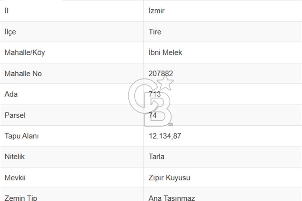 TİRE MERKEZE YAKIN 12000 m2 TARLA