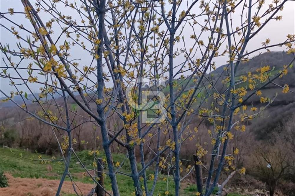 ÇANAKKALE ÇAN YAYKIN KÖYÜNDE SATILIK 40 M2 KARGİR SAMANLIK ,ARSA