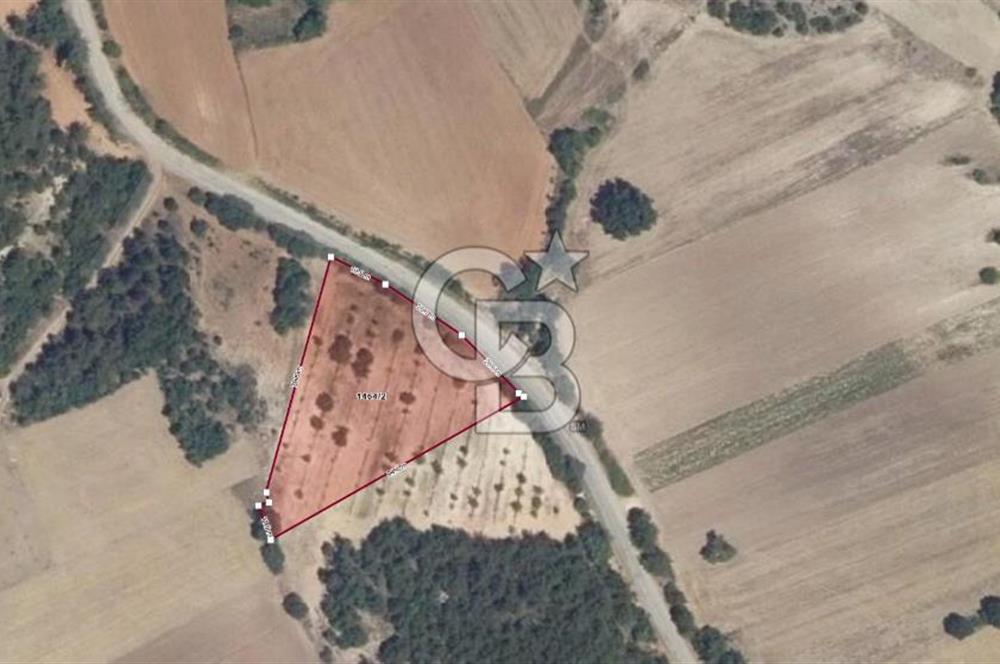 Yenişehir Çamönü'de Asfalt Cepheli 3.808 m²  Yatırım Fırsatı