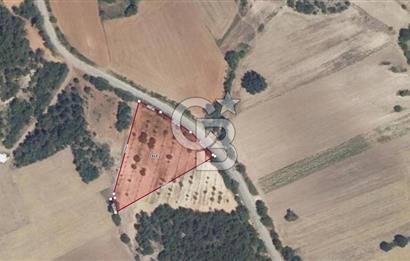 Yenişehir Çamönü'de Asfalt Cepheli 3.808 m²  Yatırım Fırsatı