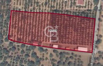 İZMİR KEMALPAŞA'DA SATILIK ÇİFTLİK EVİ VE ARAZİSİ