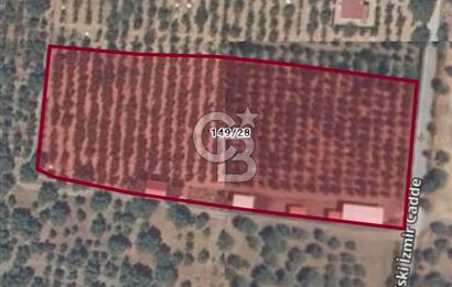 İZMİR KEMALPAŞA'DA SATILIK ÇİFTLİK EVİ VE ARAZİSİ