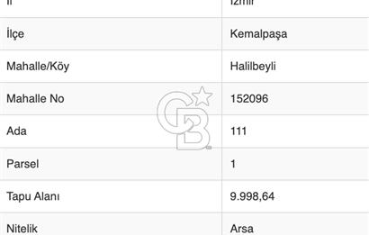 İzmir, Kemalpaşa, Halilbeyli, BAYOSB - Bağyurdu OSB, Kiralık 6.405 m2 Fabrika ve 9.998 m2 Arsa