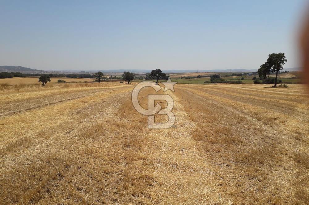 Edirne, Keşan, İstasyon Mahallesinde. Satılık Tarla 30 Dönüm.