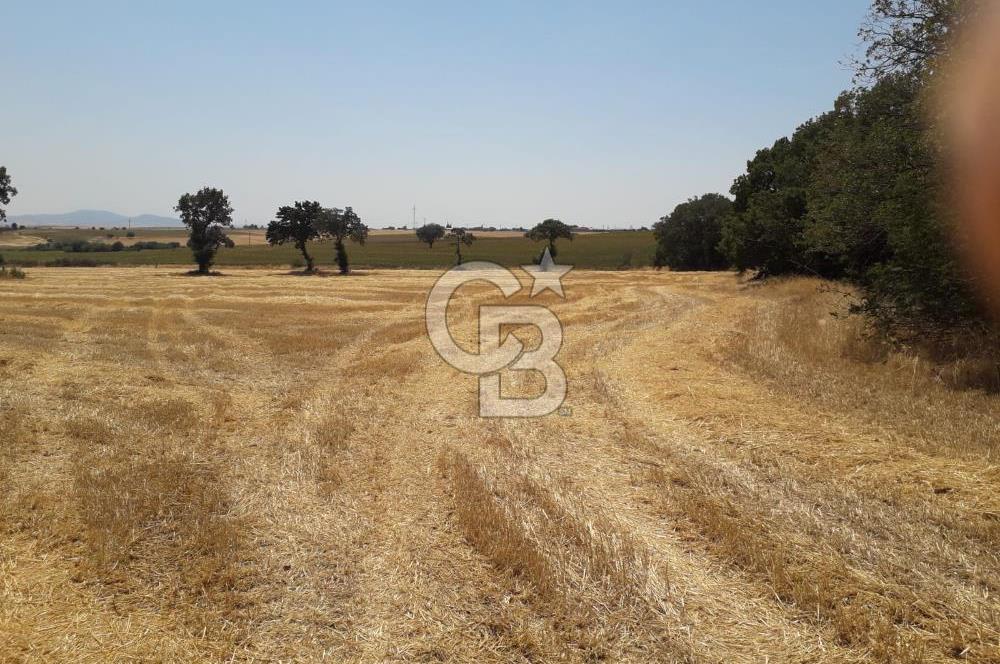 Edirne, Keşan, İstasyon Mahallesinde. Satılık Tarla 30 Dönüm.