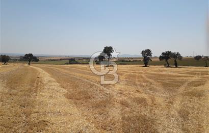 Edirne, Keşan, İstasyon Mahallesinde. Satılık Tarla 30 Dönüm.