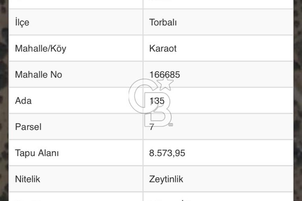 TORBALI`DA 8,5 DÖNÜM ZEYTİNLİK