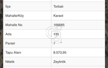 TORBALI`DA 8,5 DÖNÜM ZEYTİNLİK