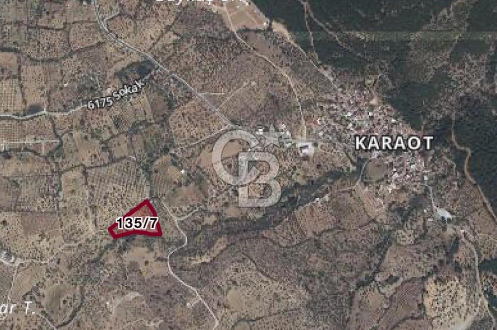 TORBALI`DA 8,5 DÖNÜM ZEYTİNLİK