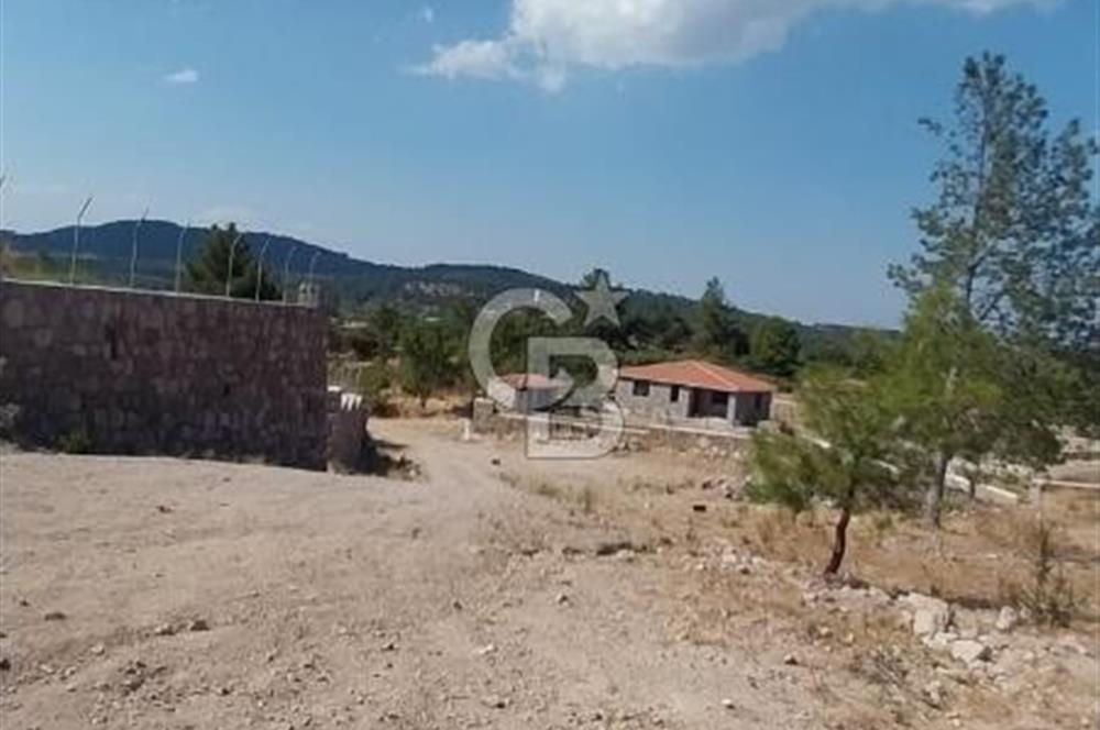 CB İYA'DAN ÇANAKKALE AYVACIK DEMİRCİ KÖYÜNDE SATILIK ARAZİ