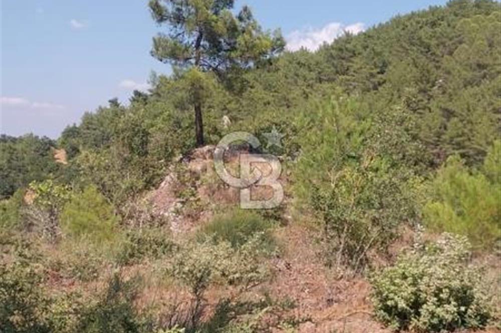 CB İYA'DAN ÇANAKKALE AYVACIK DEMİRCİ KÖYÜNDE SATILIK ARAZİ