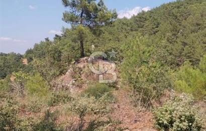 CB İYA'DAN ÇANAKKALE AYVACIK DEMİRCİ KÖYÜNDE SATILIK ARAZİ