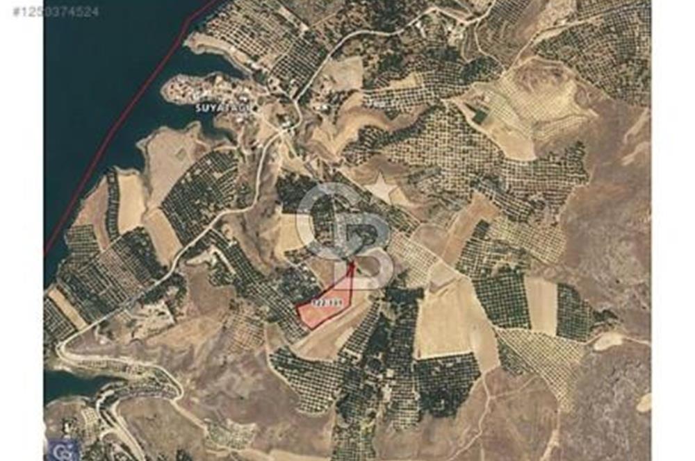 ELAZIĞ BASKİL'DE KAYISI VE BADEM BAHÇESİ YAPIMINA UYGUN ARSA