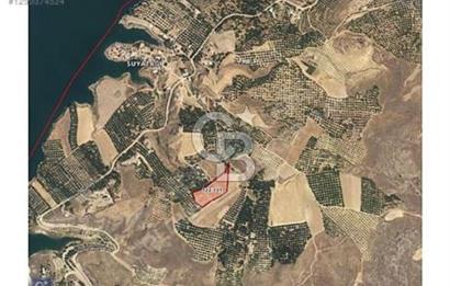 ELAZIĞ BASKİL'DE KAYISI VE BADEM BAHÇESİ YAPIMINA UYGUN ARSA