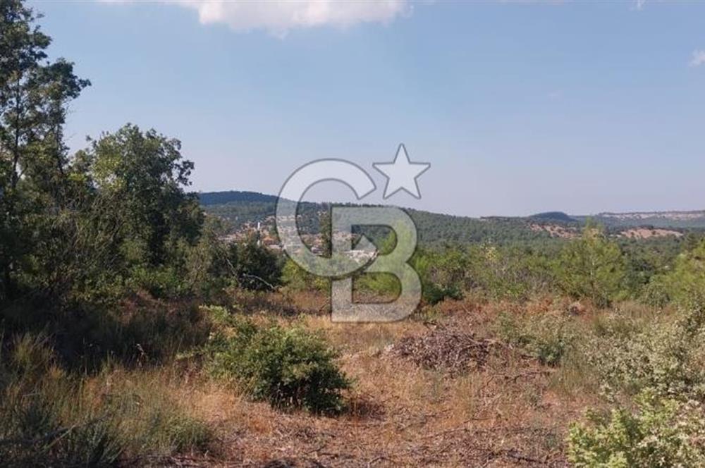 CB İYA'DAN ÇANAKKALE AYVACIK DEMİRCİ KÖYÜNDE SATILIK ARAZİ