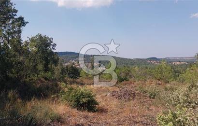 CB İYA'DAN ÇANAKKALE AYVACIK DEMİRCİ KÖYÜNDE SATILIK ARAZİ