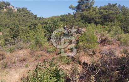 CB İYA'DAN ÇANAKKALE AYVACIK DEMİRCİ KÖYÜNDE SATILIK ARAZİ
