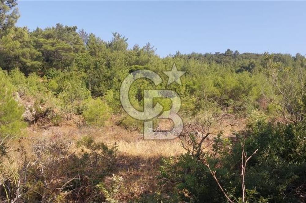 CB İYA'DAN ÇANAKKALE AYVACIK DEMİRCİ KÖYÜNDE SATILIK ARAZİ