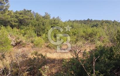CB İYA'DAN ÇANAKKALE AYVACIK DEMİRCİ KÖYÜNDE SATILIK ARAZİ