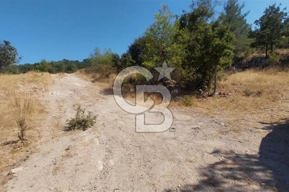 CB İYA'DAN ÇANAKKALE AYVACIK DEMİRCİ KÖYÜNDE SATILIK ARAZİ