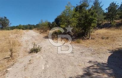 CB İYA'DAN ÇANAKKALE AYVACIK DEMİRCİ KÖYÜNDE SATILIK ARAZİ
