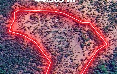 CB İYA'DAN ÇANAKKALE AYVACIK DEMİRCİ KÖYÜNDE SATILIK BÜYÜK PARSEL ARAZİ