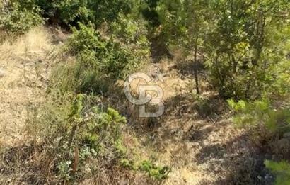 CB İYA'DAN ÇANAKKALE AYVACIK DEMİRCİ KÖYÜNDE SATILIK ARAZİ