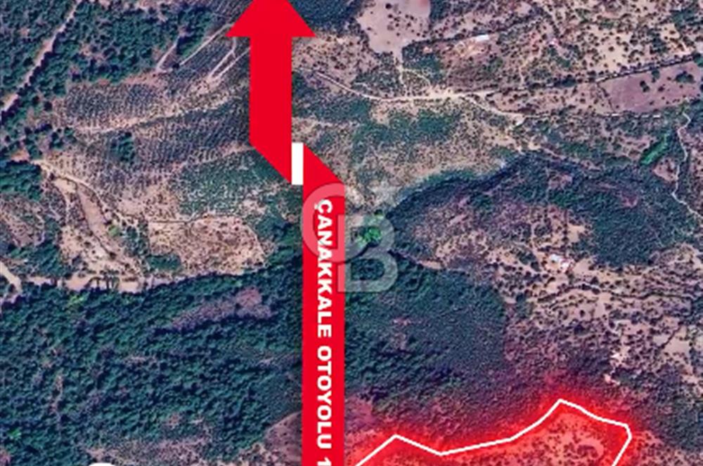 CB İYA'DAN ÇANAKKALE AYVACIK DEMİRCİ KÖYÜNDE SATILIK BÜYÜK PARSEL ARAZİ