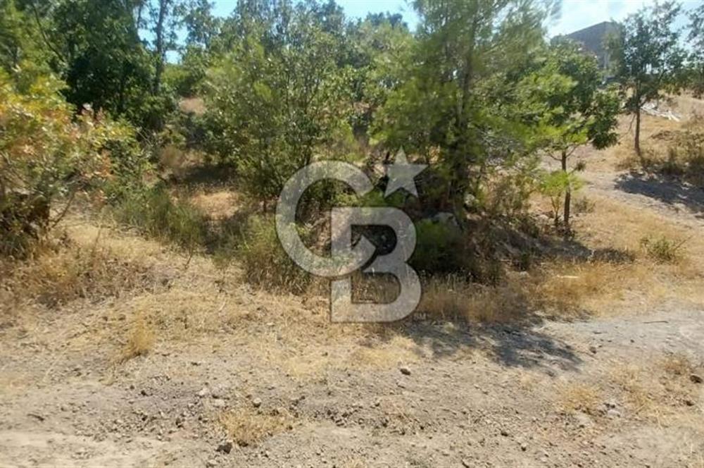CB İYA'DAN ÇANAKKALE AYVACIK DEMİRCİ KÖYÜNDE SATILIK ARAZİ