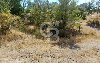 CB İYA'DAN ÇANAKKALE AYVACIK DEMİRCİ KÖYÜNDE SATILIK ARAZİ