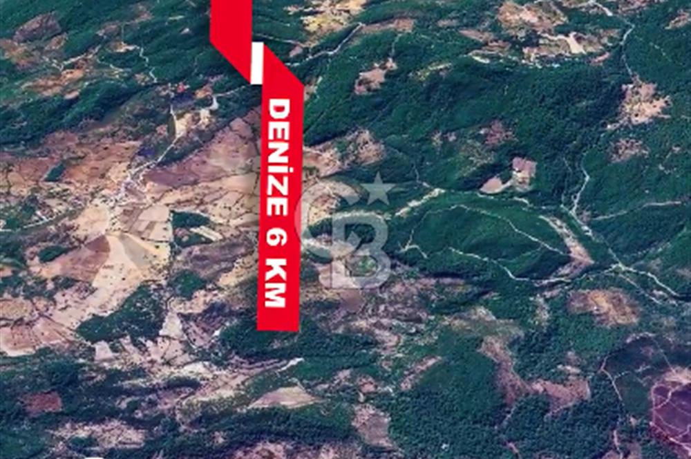 CB İYA'DAN ÇANAKKALE AYVACIK DEMİRCİ KÖYÜNDE SATILIK BÜYÜK PARSEL ARAZİ