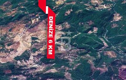 CB İYA'DAN ÇANAKKALE AYVACIK DEMİRCİ KÖYÜNDE SATILIK BÜYÜK PARSEL ARAZİ