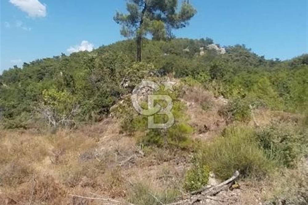 CB İYA'DAN ÇANAKKALE AYVACIK DEMİRCİ KÖYÜNDE SATILIK ARAZİ