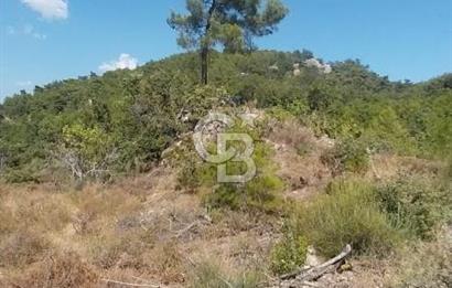 CB İYA'DAN ÇANAKKALE AYVACIK DEMİRCİ KÖYÜNDE SATILIK ARAZİ