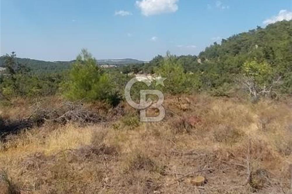 CB İYA'DAN ÇANAKKALE AYVACIK DEMİRCİ KÖYÜNDE SATILIK ARAZİ