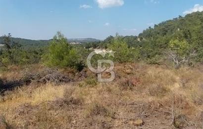 CB İYA'DAN ÇANAKKALE AYVACIK DEMİRCİ KÖYÜNDE SATILIK ARAZİ