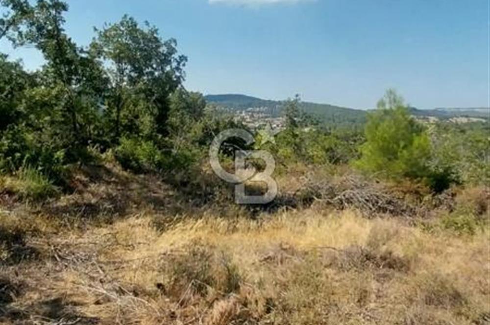 CB İYA'DAN ÇANAKKALE AYVACIK DEMİRCİ KÖYÜNDE SATILIK ARAZİ
