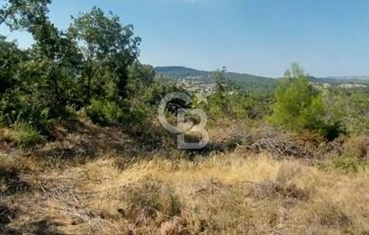 CB İYA'DAN ÇANAKKALE AYVACIK DEMİRCİ KÖYÜNDE SATILIK ARAZİ