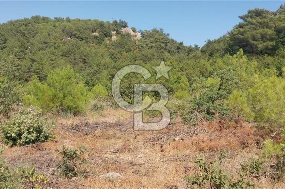 CB İYA'DAN ÇANAKKALE AYVACIK DEMİRCİ KÖYÜNDE SATILIK ARAZİ