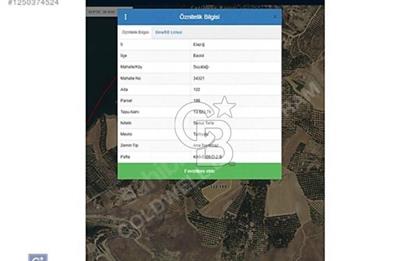 ELAZIĞ BASKİL'DE KAYISI VE BADEM BAHÇESİ YAPIMINA UYGUN ARSA